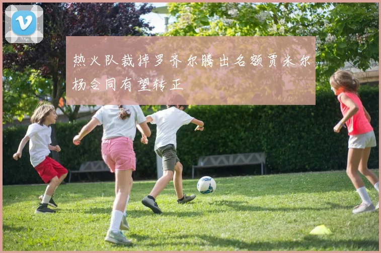 热火队裁掉罗齐尔腾出名额贾米尔杨合同有望转正